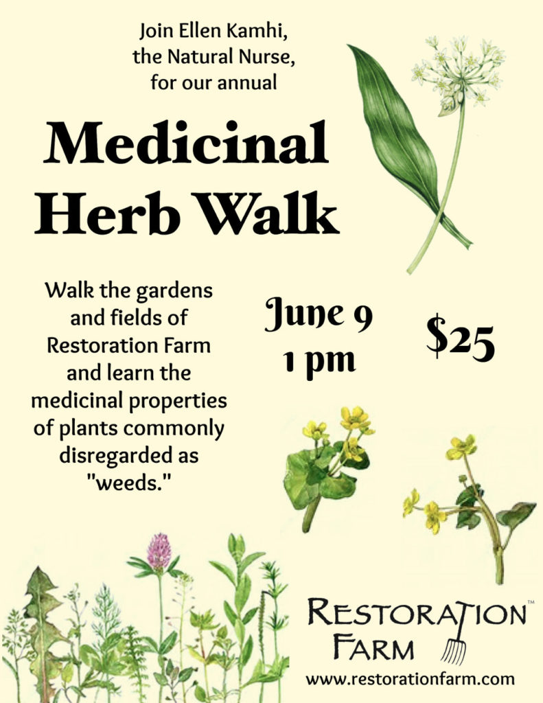 herb walk ellen kamhi restoration farm ny