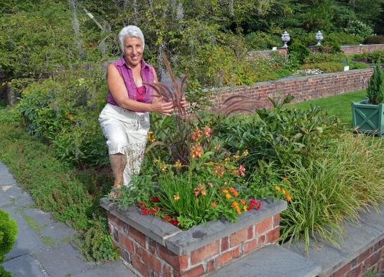 Ellen Planting Fields1 2015