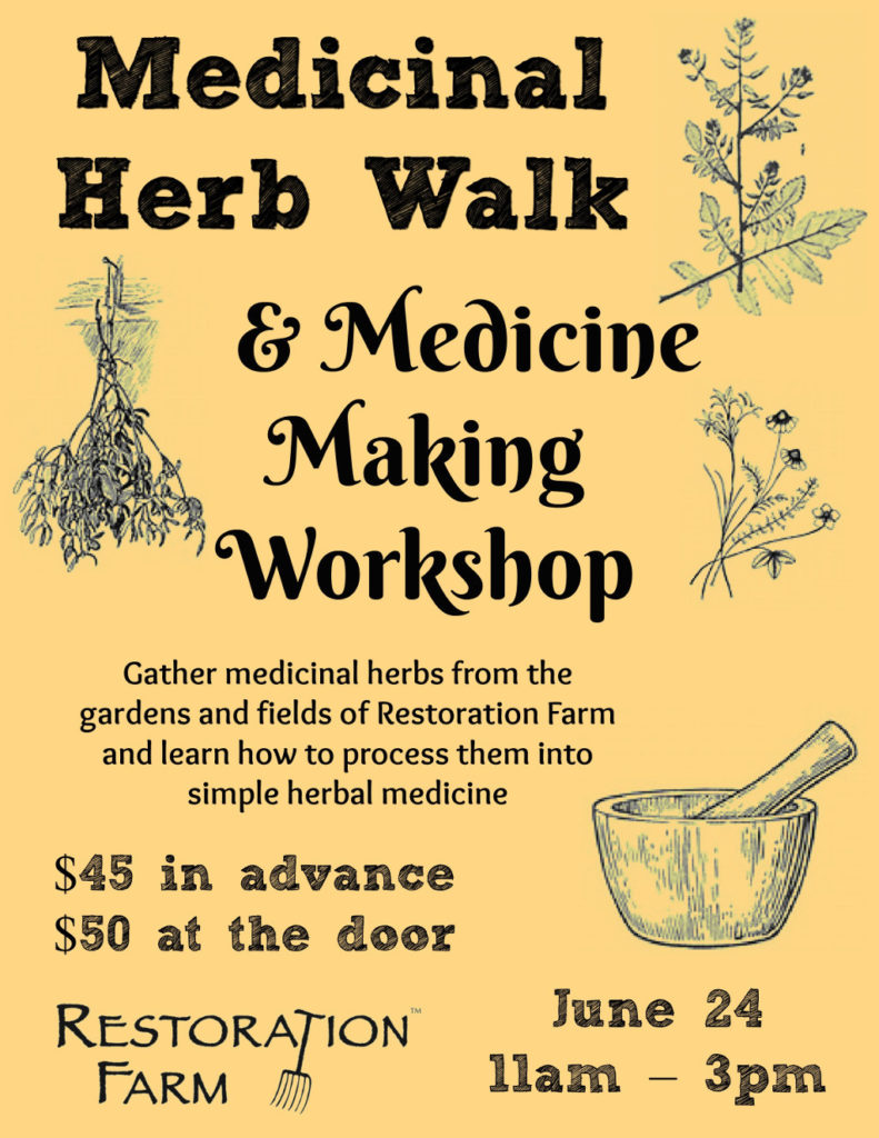 medicine making workshop ellen kamhi restoration farm ny