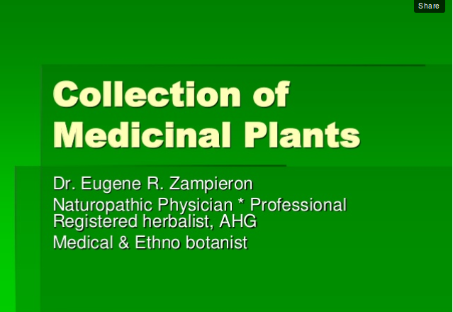 how to collect medicinal herbs presentation