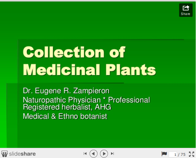 how to collect medicinal herbs presentation