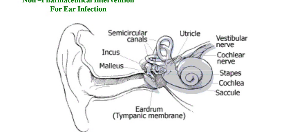 Non_pharmaceutical_intervention_for_ear_infection