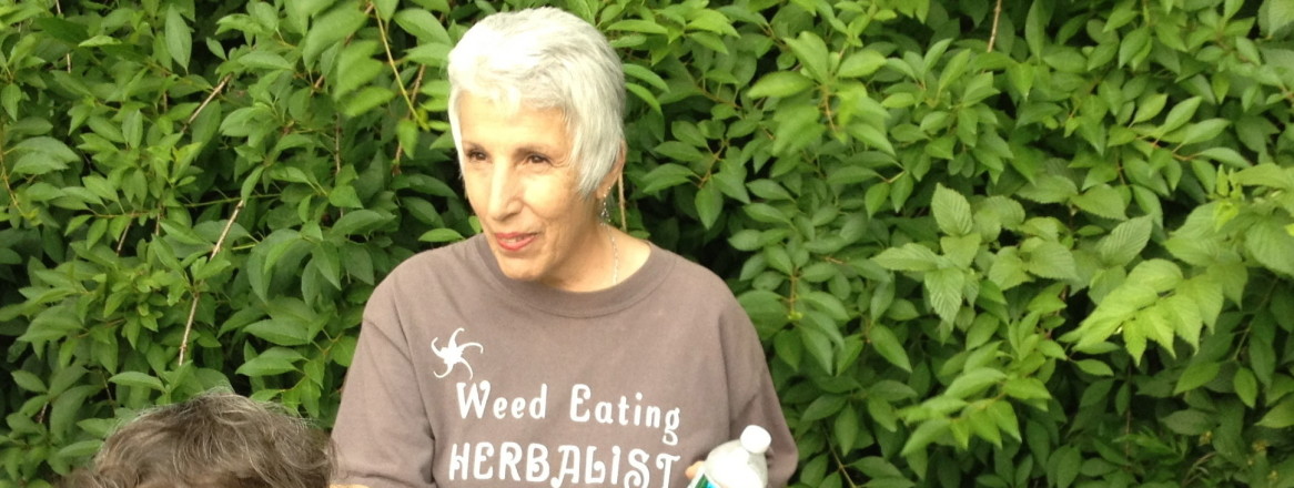 Ellen Kamhi teaches about herbs in your yard