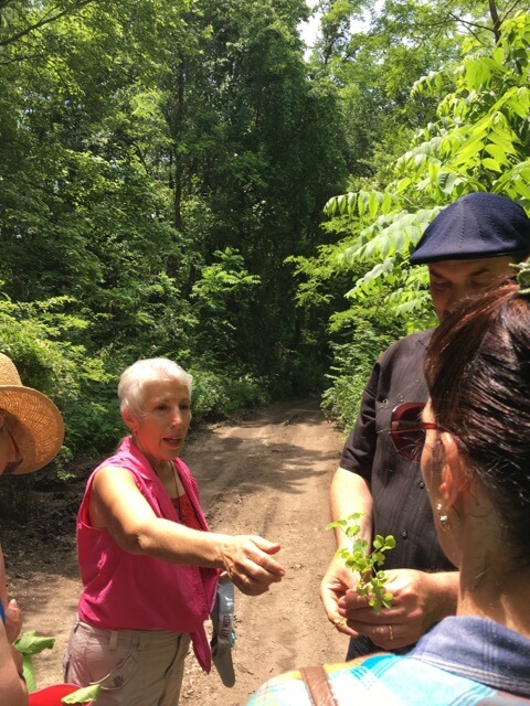 Herb Walk Restoration Farm 2017 2