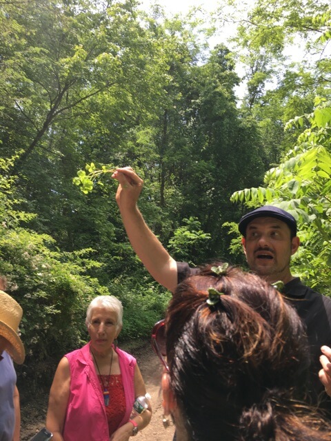 Herb Walk Restoration Farm 2017 3