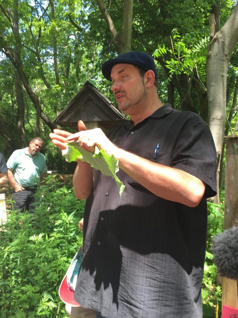 Herb Walk Restoration Farm 2017_1