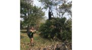 ecotour-for-cures-jamaica-lion-climbing-tree