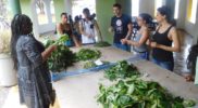 ecotour-herbal-workshop-jamaica-5