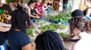 ecotour-herbal-workshop-jamaica-7