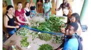 ecotour-herbal-workshop-jamaica-9