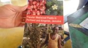 popular-medicinal-plants-in-jamaica-book