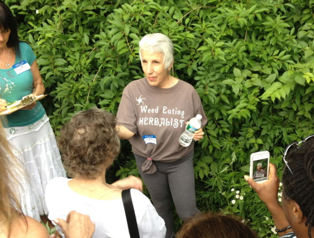 Herb Walk with Ellen Kamhi Ph.D., RN, AHG - Old Westbury