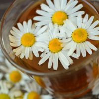 chamomile-829220_640