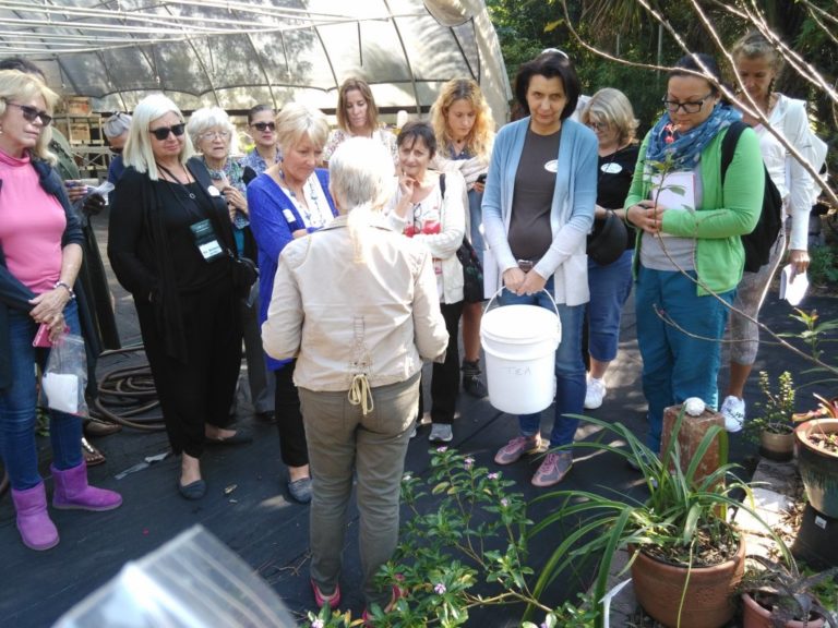 Spiritual connection with the essence of the plant community Spiritual connection with the essence of the plant community