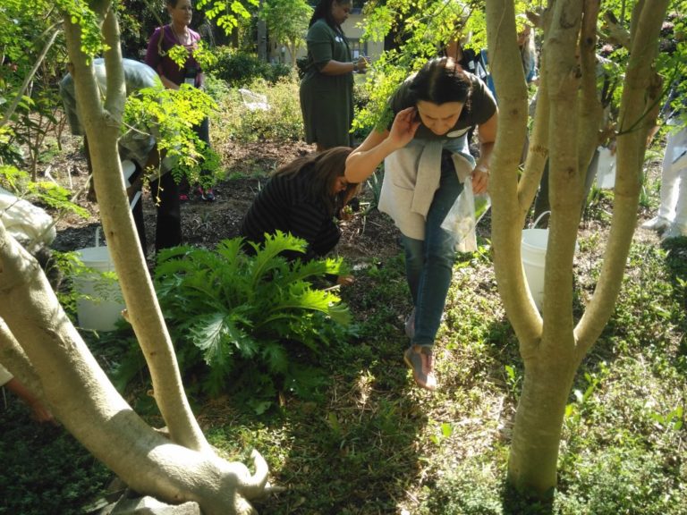 The joy of discovering a new plant friend The joy of discovering a new plant friend