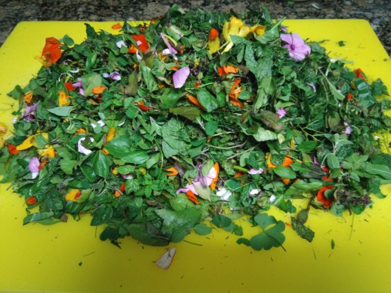 Beautiful, Medicinal Plant Potpourri ! Beautiful, Medicinal Plant Potpourri !