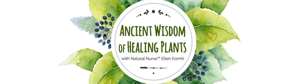 healing plants