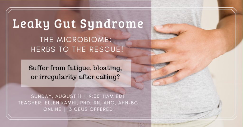 leaky gut syndrome