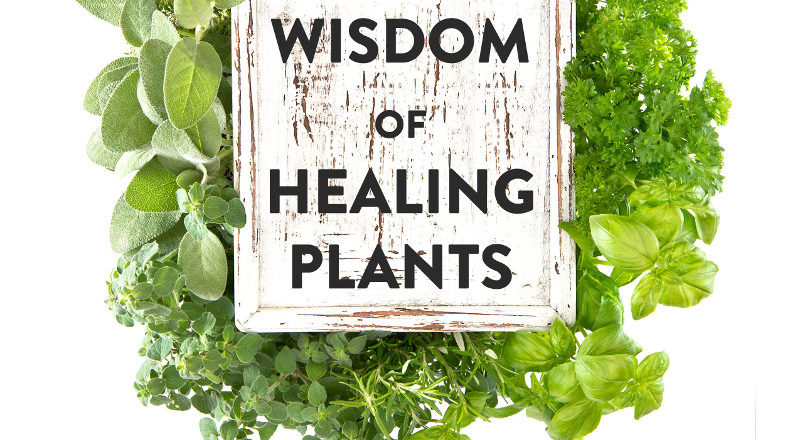 ancient wisdom of healing plants 2018