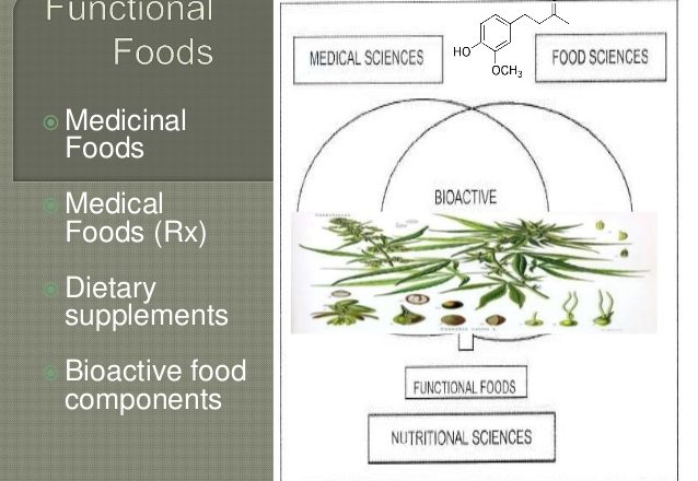 traditional functional foodways