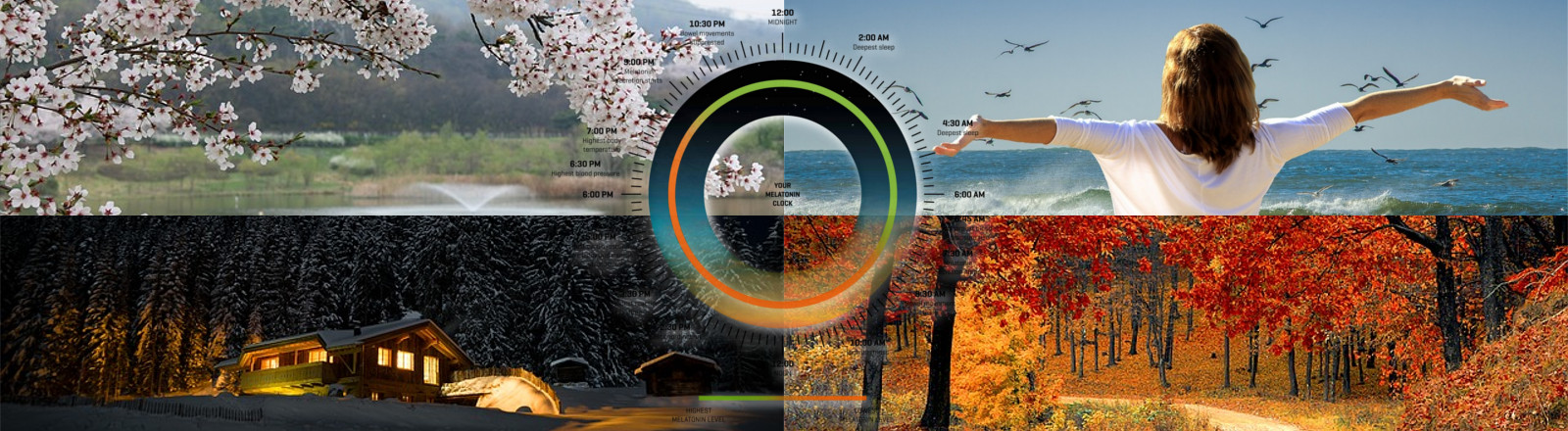 circadian rhythm