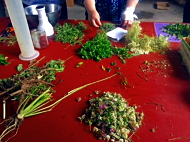 herbal medicine making process