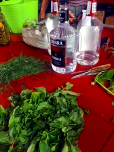 making herbal tincture at Restoration Farm NY