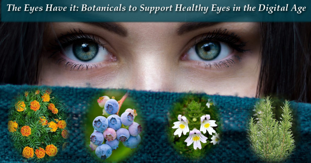 botanicals to support healthy eyes by Ellen Kamhi PhD, RN