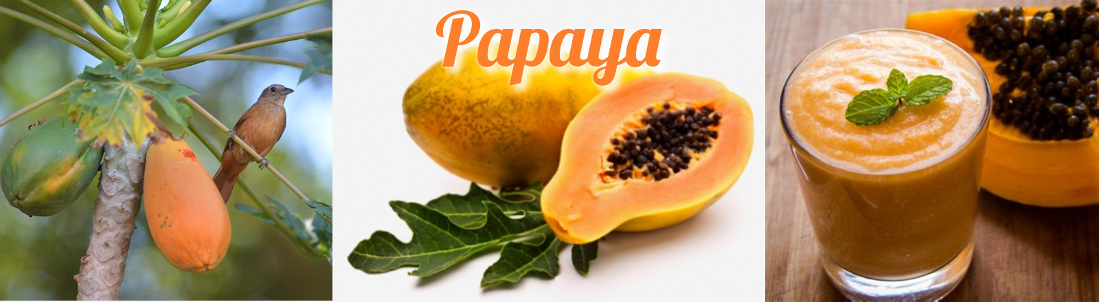 papaya benefits heart disease cancer