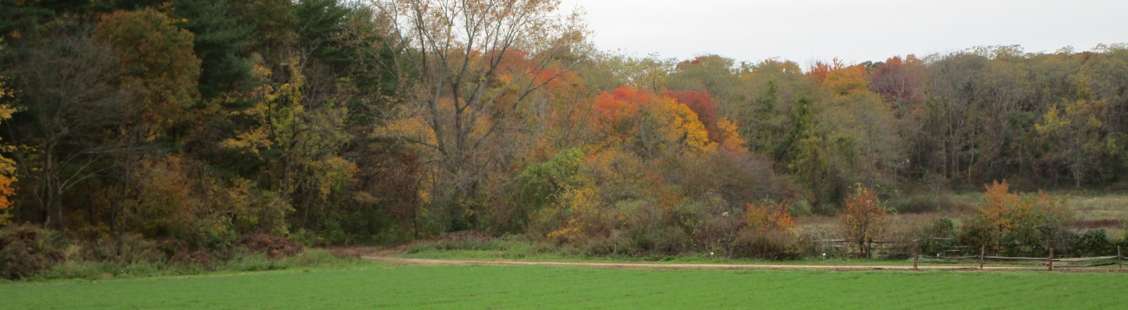 restoration farm old bethpage