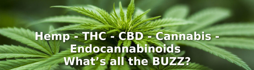 cannabis hemp thc cbd endocannabinoids