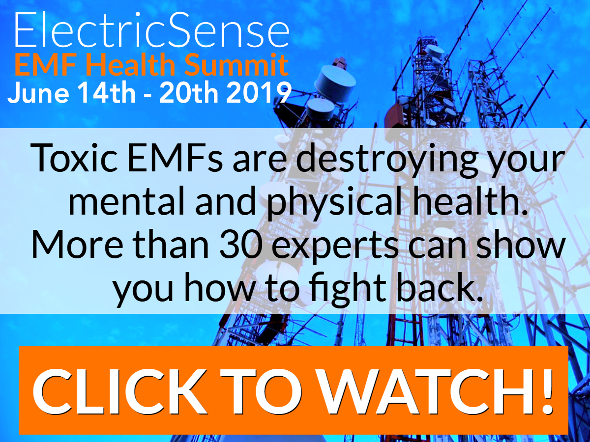 EMF online summit