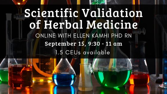 scientific validation of herbal medicine