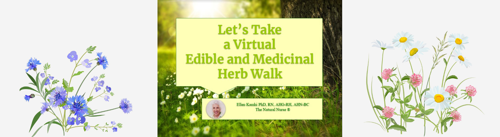 virtual wild edible and medicinal herbs walk