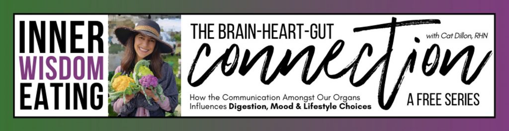 gut heart brain connection summit