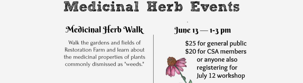 Wild Edible and Medicinal Herb Walk @ Restoration Farm NY