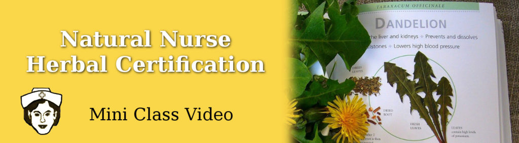 Mini Class Video Natural Nurse Herbal Certification Series