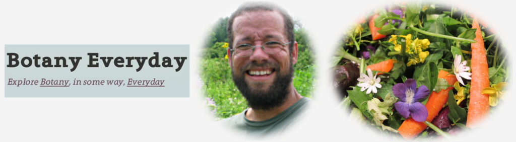 Food As Medicine, Sustainable Sustenance - Ethnobiologist Marc Williams