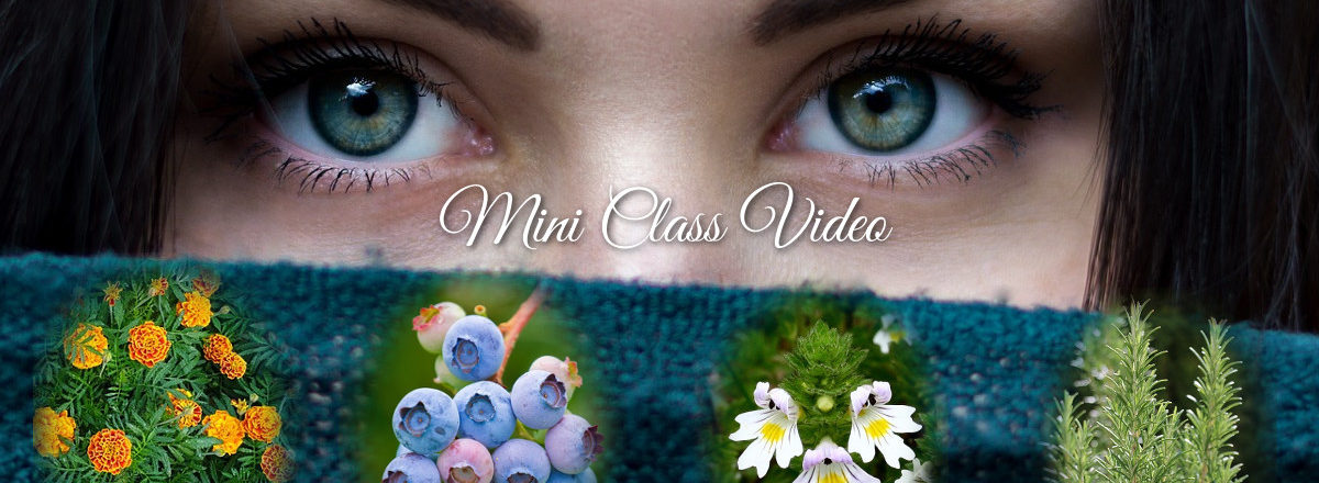 eye health mini class video