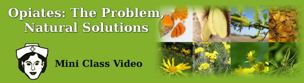 Mini class video on Opiates The Problem & Natural Solutions