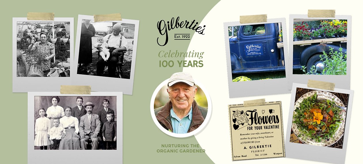 Celebrating_100_Years_Gilberties_Organic_Herbs_Westport_Easton_-_2022-07-28_11.03.51