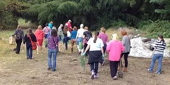Herb gathering medicine making
