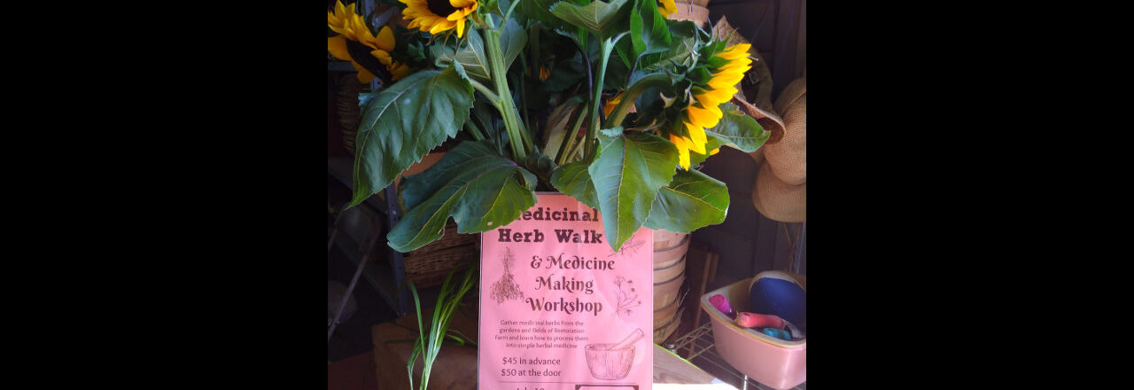 2022 Wild Edibles and Herbal Medicine Making Funshop