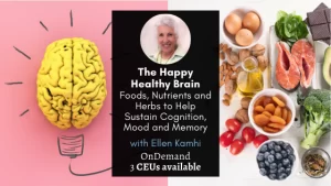 The Happy Healthy Brain - Foods, Nutrients and Herbs to Help Sustain Cognition, Mood & Memory-image