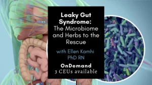 Leaky Gut Syndrome: The Microbiome – Herbs and Natural Remedies to the Rescue!-image