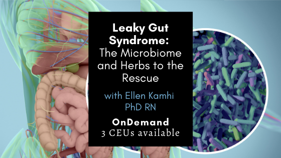 Leaky Gut Syndrome with Ellen Kamhi Ph.D., RN