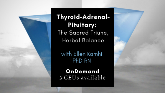 Thyroid Adrenal Pituitary with Ellen Kamhi Ph.D.