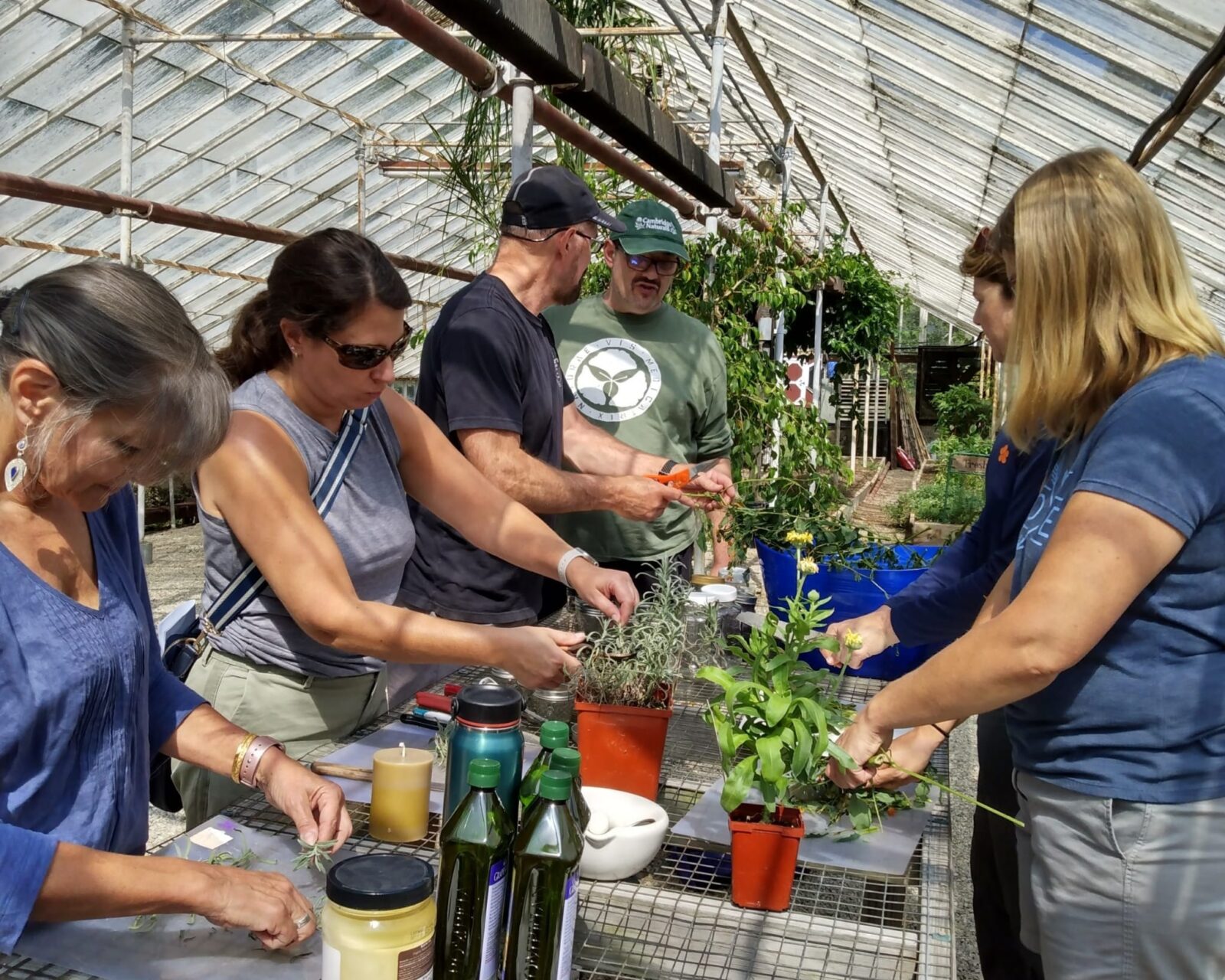 Herb Walk & Medicine Making Funshop