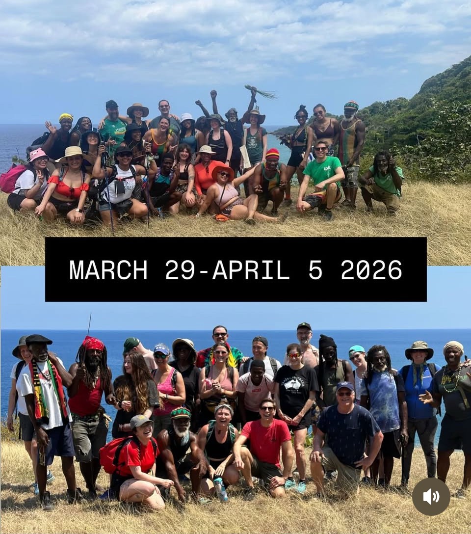 Ecotoursforcures - 2026 Jamaican medicinal plants identification and medicine making