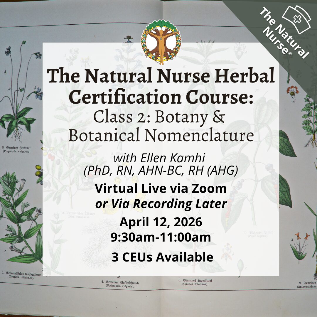 This covers the importance of Latin names when communicating with other herbalists, the Doctrine of Signatures, Identification of Plant Families, and edible, medicinal, and poisonous specific plants within several families. Class by Ellen Kamhi Ph.D., RN, RH - The Natural Nurse